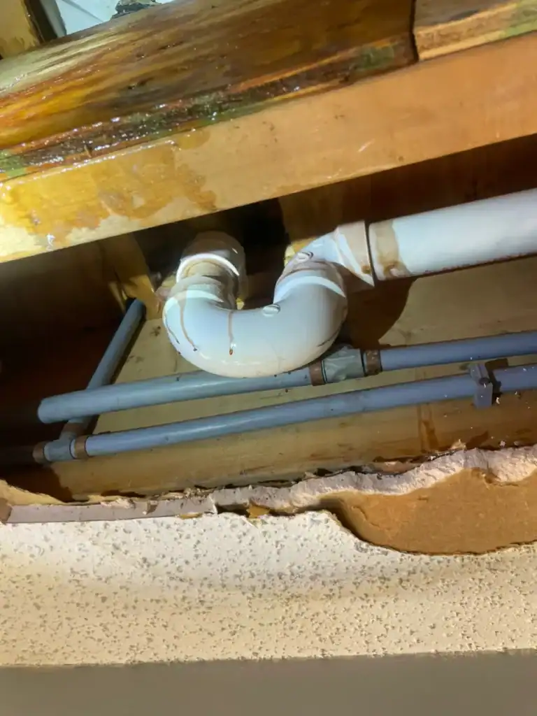 Poly Backflow Repiping Services - Modern Plumbing and Backflow